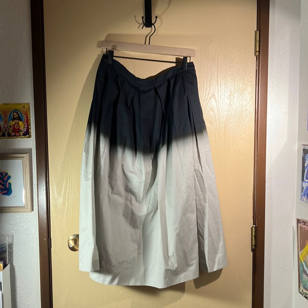 Dries Van Noten Gradient skirt